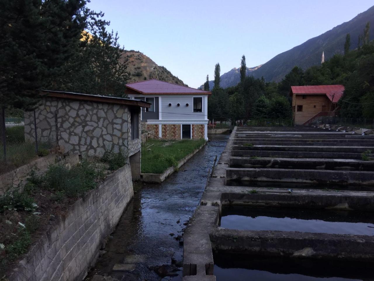 Agara Pansiyon Bostanci Exterior photo
